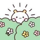 도담도담펫살롱 이미지