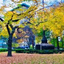 첼로파크 이미지