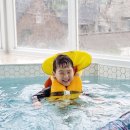 글라드 세화 이미지