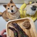 멍마고우 이미지