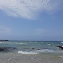 지티행정사사무소 이미지