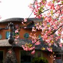 고향의봄 이미지