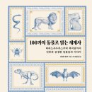 현대가발 이미지