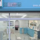 애견미용실 또이쁜댕 이미지