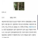 한옥과편백의 만남 이미지