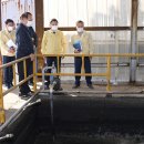 도성축산 이미지