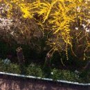 밀양관광펜션 아름드리 이미지