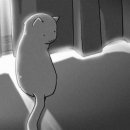 은정커텐 이미지