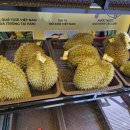 백과아시아마트