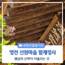 선원천 | 선비의 뜻을 담은 공간, 영천 선원마을 함계정사 탐방기