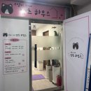 캣츠하우스 | 창원 팔용동 고양이카페 캣츠하우스방문 여기가 천국이다 냥