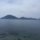 바다가 그리운 나무 이미지