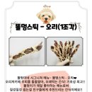 똘멍이네 이미지