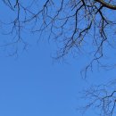 수진축산 이미지