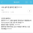 삶의 질을 올려준 것들 모음 (in 성다 익게) 이미지