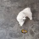 (주)맘스이레 이미지