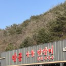 탑골숯불닭갈비홍천비발디파크점 | 탑골숯불닭갈비 홍천비발디파크점, 단체로 닭갈비 먹기 좋은 곳