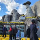 대한리 | 팔공산 갓바위 가족 나들이