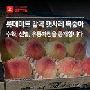 영근농장 | 롯데마트 감곡 햇사레 복숭아 수확, 선별, 유통과정을 공개합니다!