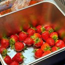 반달섬1로 | 반달섬 신상 술집 | 어촌계 1번지 횟집 내돈내산 후기