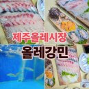 올레강민 | ✨️제주 올레시장 맛집 서귀포 현지인 횟집 자연산 모듬회 후기 올레강민✨️