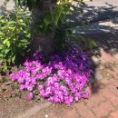 제주커피박물관 바움 이미지