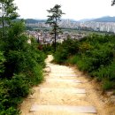 남산로R 티스토리