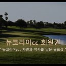 신원2로 이미지