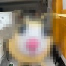김한식베이커리