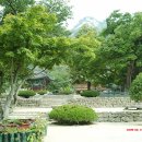 정든민박 이미지