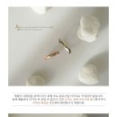 네이처컬렉션전주 - 전주시 덕진구 붓내3길 40 | 네이처컬렉션전주
