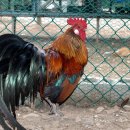 준호농장 이미지