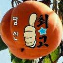 365직업소개소 이미지