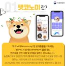 펫코노미 이미지