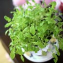 세종연세소아청소년과의원 이미지