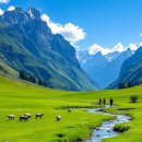 사람과사람 이미지