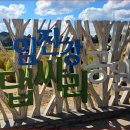 이제 곧 개장하는 2만 그루 가을꽃밭" 매년 20만 명이 찾는 무료 꽃길 명소 이미지