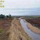 신도리-3 이미지