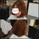 장미 헤어샾