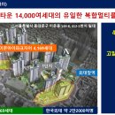 아이파크 동물병원 이미지