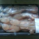 개구리반찬 Daum카페