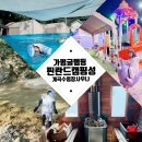 가평군 청평도서관 | 가평 글램핑 [가평 핀란드캠핑성] 사우나, 계곡, 미온수 수영장 2개, 놀이터, 에어바운스까지!