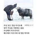 참소망약국 이미지