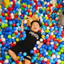 타요방방 이미지