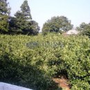 신풍리마을회관 이미지