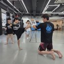 강일체육관 이미지