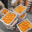 해찬농장 이미지