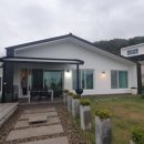 올리비아스테이 이미지