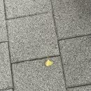 김종균한의원 네이버블로그