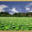 은수포낚시터 이미지